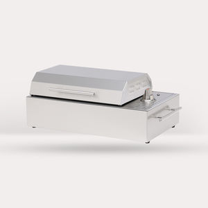 electric grill 1