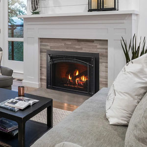 gas fireplace insert