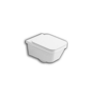 wall-hung toilet