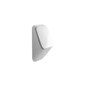 wall-mounted urinal
