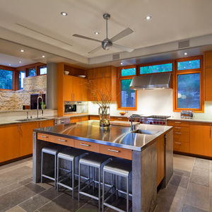 ceiling fan / residential / aluminum