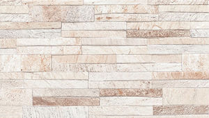 ceramic tile 1