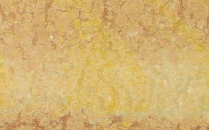 natural stone paving slab 1