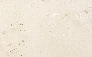 natural stone paving slab 1
