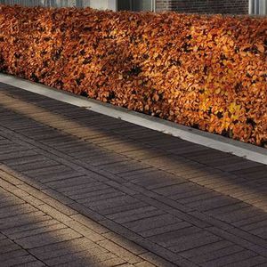 clinker paver