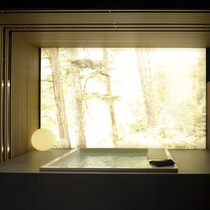 professional bathtub
