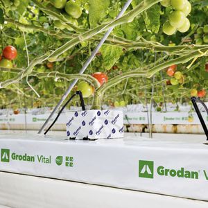 planting bag