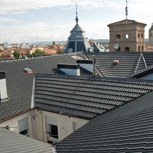 french roof tile
