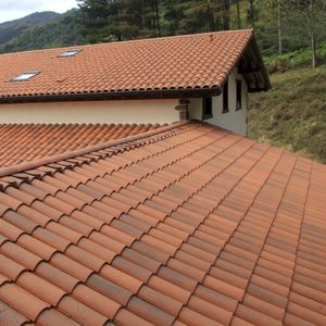 Portuguese roof tile 1