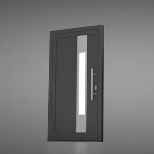 entry door 1