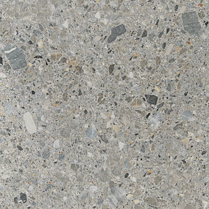indoor tile / wall / floor / porcelain stoneware