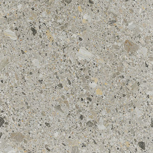 indoor tile / wall / floor / porcelain stoneware