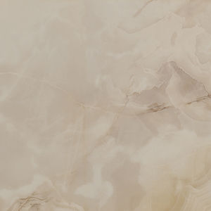 indoor tile / wall / floor / porcelain stoneware