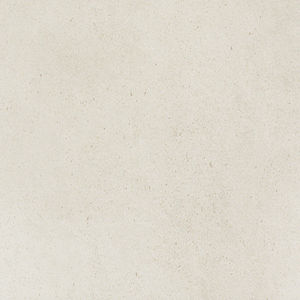 indoor tile / wall / floor / porcelain stoneware