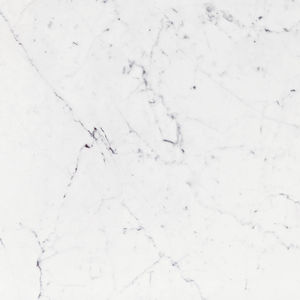 indoor tile / wall / floor / porcelain stoneware