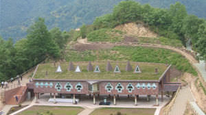 green roof
