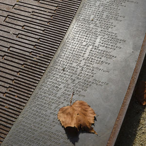 metal sculpture