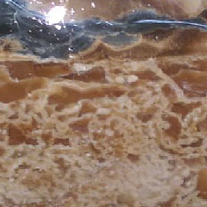 epoxy resin protective treatment 1