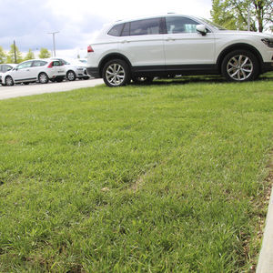 low-density polyethylene (LDPE) grass grid
