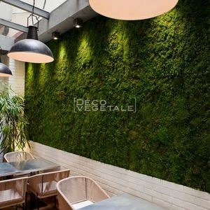 preserved green wall