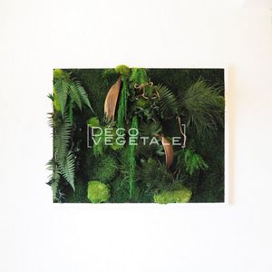 preserved living frame