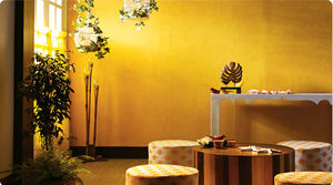 decorative paint