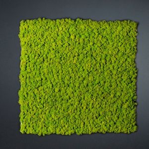 preserved green wall