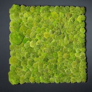 preserved green wall