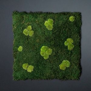 preserved green wall