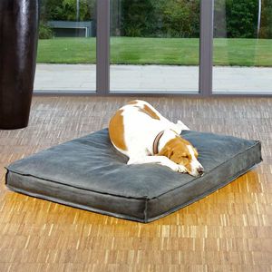pet dogs and cats cushion
