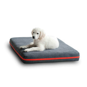 pet dogs and cats cushion