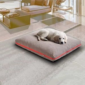 pet dogs and cats cushion