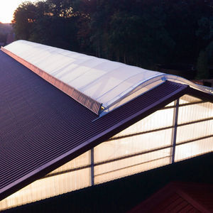 ventilated ridge cap
