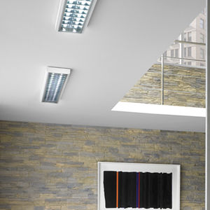 surface-mounted light fixture 1