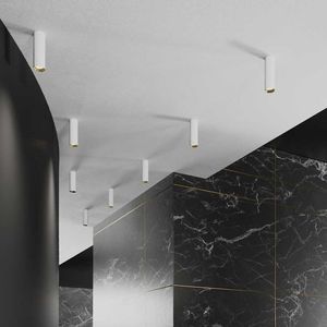 ceiling spotlight