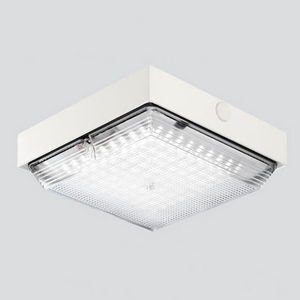 surface-mounted light fixture