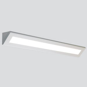 surface-mounted light fixture 1