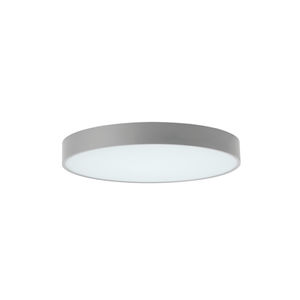 surface-mounted light fixture