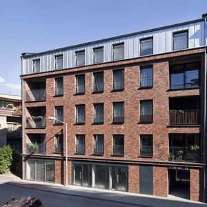 clinker cladding brick
