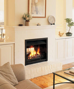 double-sided fireplace insert