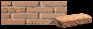 wall-mounted brick