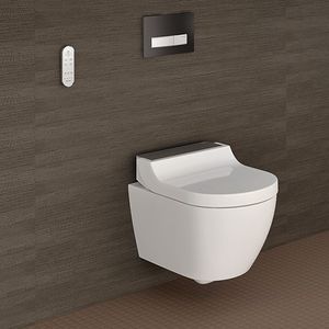 shower toilet 1