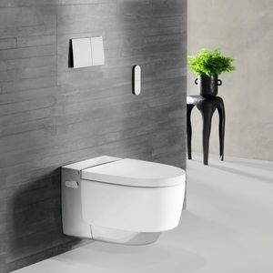 shower toilet 1