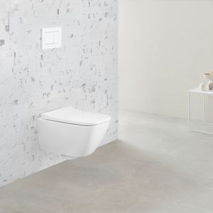 wall-hung toilet 1