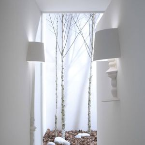 contemporary wall light