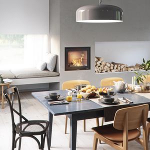 wood-burning fireplace insert