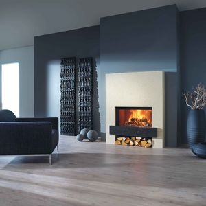 wood-burning fireplace