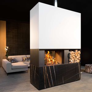 central fireplace insert