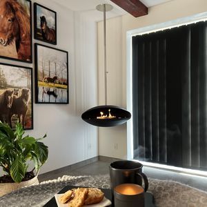 bioethanol fireplace