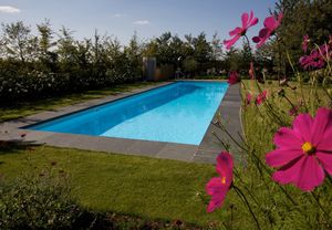 lap swimming pool